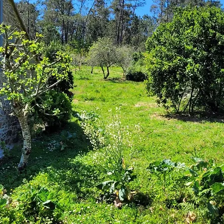 Casa Pandeiras Σπίτι διακοπών