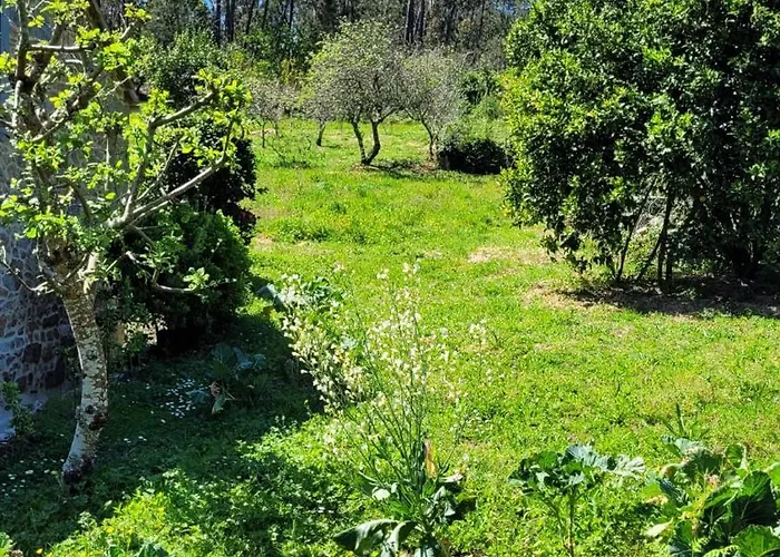 Casa Pandeiras Hébergement de vacances