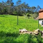 Casa Pandeiras Carnes