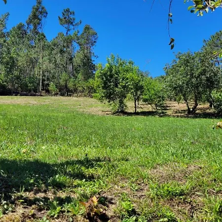 Casa Pandeiras * Carnes